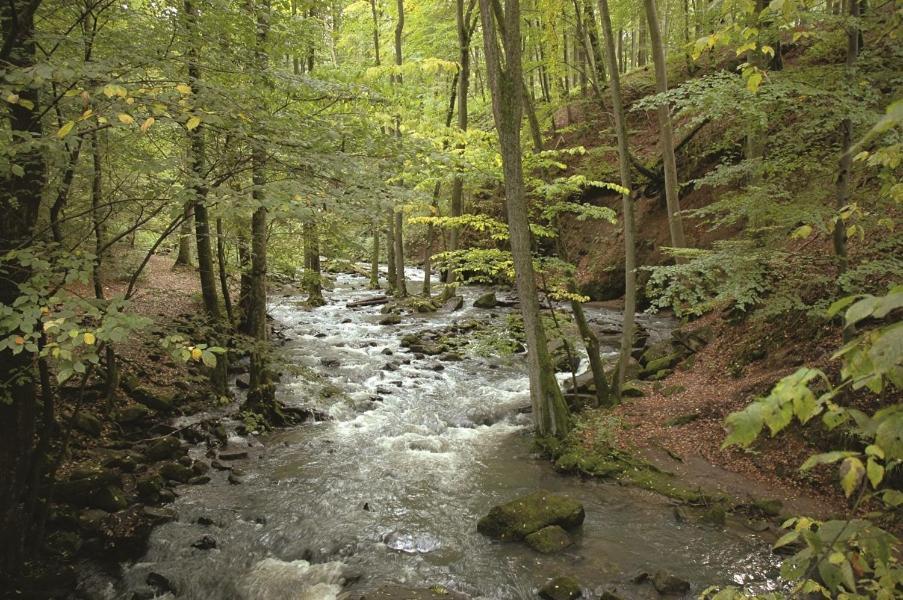 Fewo Hof Elbbachtal Westerburg  Dış mekan fotoğraf