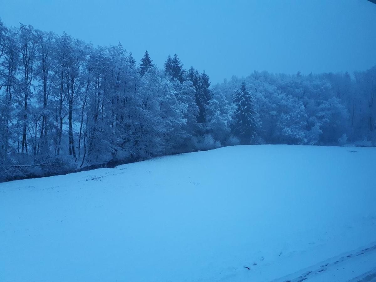 Fewo Hof Elbbachtal Westerburg  Dış mekan fotoğraf